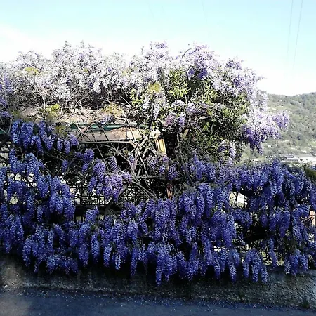 Casa Il Glicine *